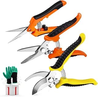 3 Pack Garden Pruning Shears Stainless Steel Blades Handheld Pruners Set with Gardening Gloves