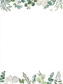 Eucalyptus Boxed Stationery (24 sheets, 30 envelopes)