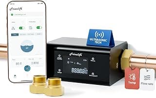 Frizzlife LP365 Smart Water Monitor and Automatic Shutoff Valve - 0.01GPM Ultrasonic Micro Leak Detection, APP Wi-Fi Remote Control, Real-Time Flow/Temp Alarm, 24/7 Water Usage Reports, 3/4" and 1"