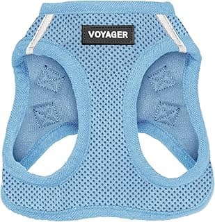 Voyager Step-in Air Dog Vest Harness - Baby Blue, Medium | 16 - 18" in Chest, Reflective Bands, All Weather Breathable Air Mesh, Cats Compatible, Lightweight, Fast Drying