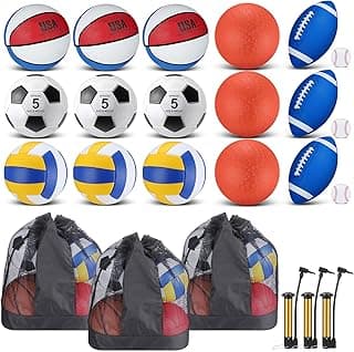 Leyndo 18 Pcs Sport Balls Bulk Set | Basketball Football Volleyball Soccer Playground Baseball with Sport Equipment Bag Pump for Adults Gifts Outdoor Indoor