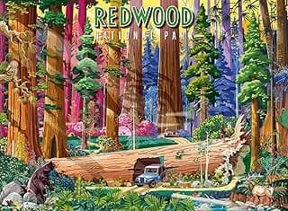 Ravensburger Redwood National Park 500 Piece Puzzle for Adults