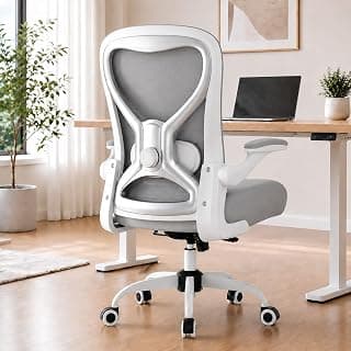 Ergonomic Home Office Chair, 4-Way Lumbar, Thick Cushion, 330LBS (Gray/Silver)