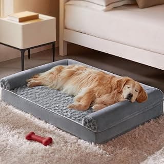 BFPETHOME Orthopedic Washable Large Dog Bed for Senior Dog Comfy Sleep | Waterproof Big Soft Pet Couch Bed for Dogs Relax with Removable Cover Supportive Egg Crate Foam Grey 36x27 Inch