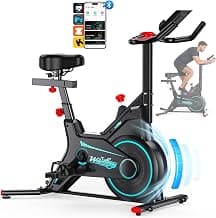 Exercise Bike, Stationary Indoor Spin Bike for Home Cardio Fitness Workout