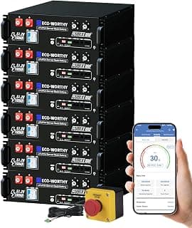 ECO-Worthy Cubix100 48V 600Ah Server Rack Battery LiFePO4 | 6 Pack 30.72kWh Solar Battery Kit for Home Backup | UL9540 & UL1973 & CEC Listed, for Home Backup Power
