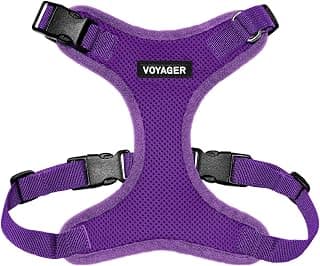 Voyager Step-in Lock Dog Harness - Purple, Small | 15 - 18" in Chest, Adjustable, Breathable Air Mesh, Lightweight for Daily Walks, Strong Clips, Heavy Duty D-Ring